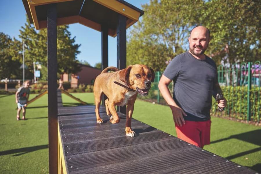 dog training area at this dog friendly holiday park in lincolnshire