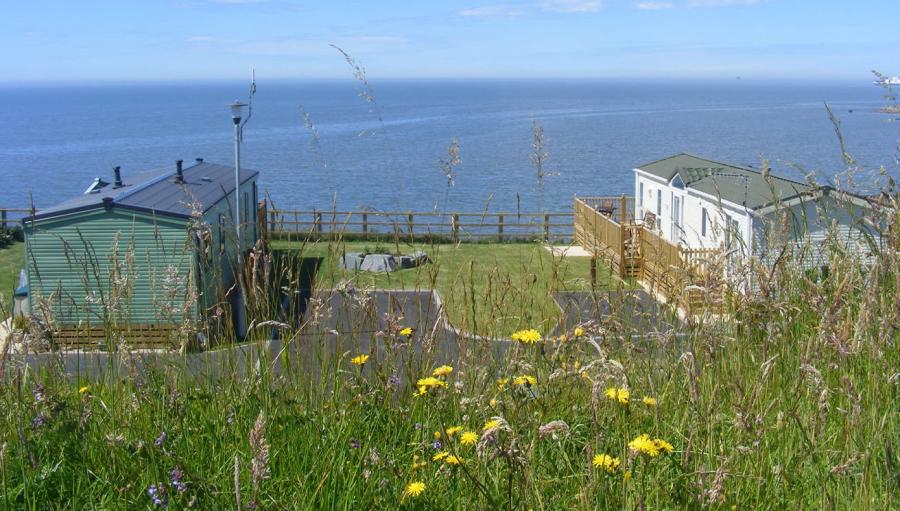 caravans at Ocean Edge Holiday Park