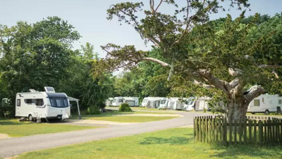 touring caravans in Hampshire at Lytton Lawn Touring Park