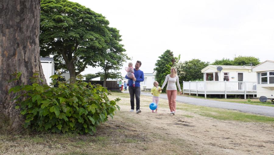 Sunnydale Holiday Park holiday homes