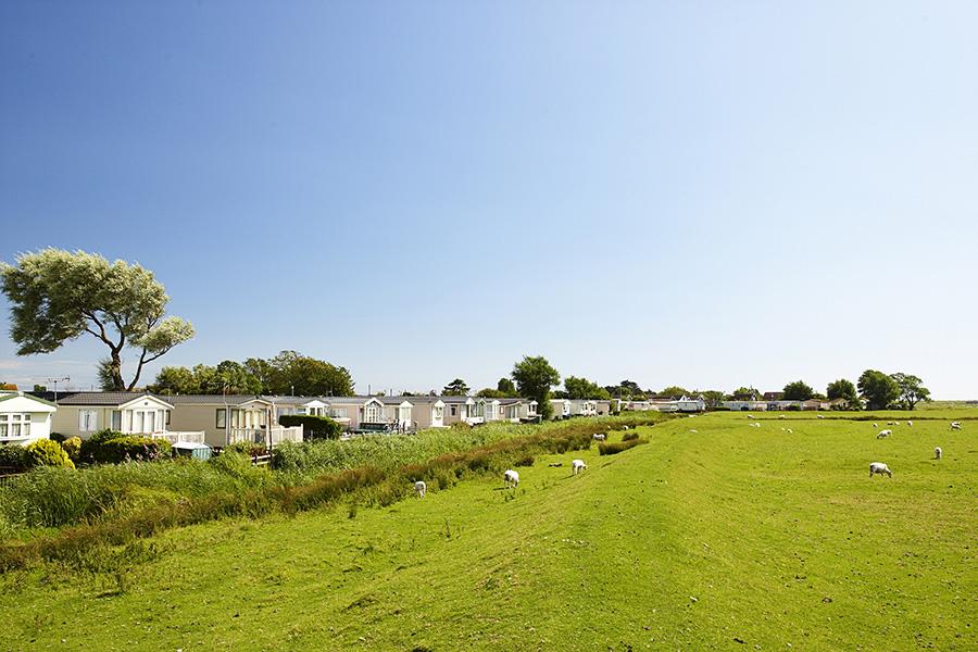 sussex static caravan park in Rye