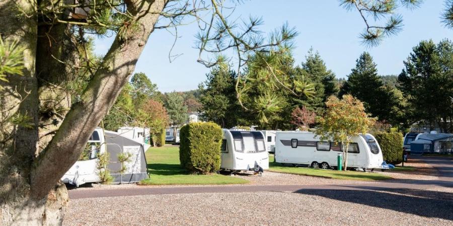 touring caravan pitches at Deeside Holiday Park