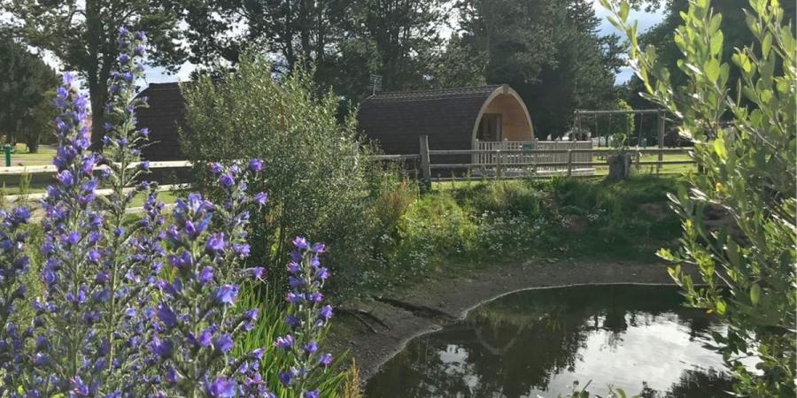glamping pods by the lake at Deeside Holiday Park