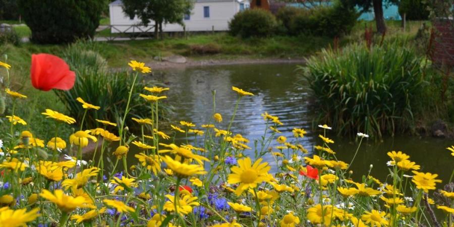 Deeside Holiday Park by the lake