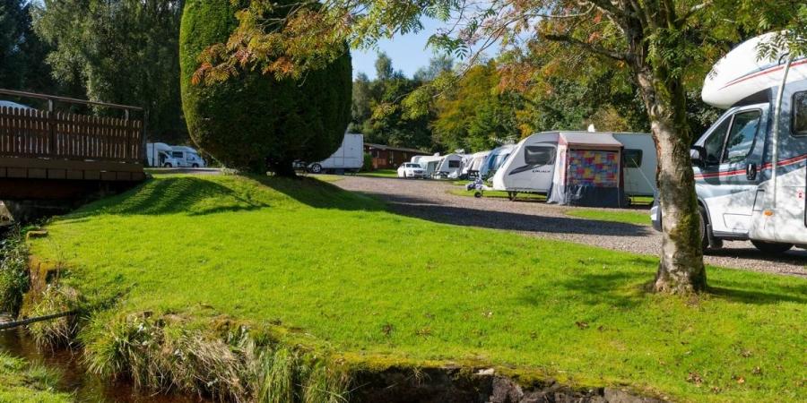 touring caravans at Lomond Woods Holiday Park