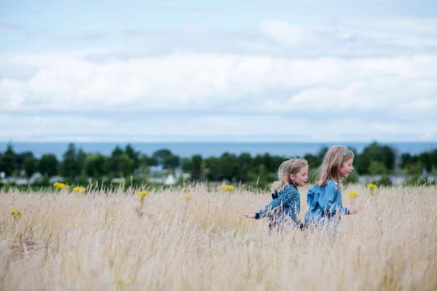 exploring the fields around Seton Sands Holiday Park
