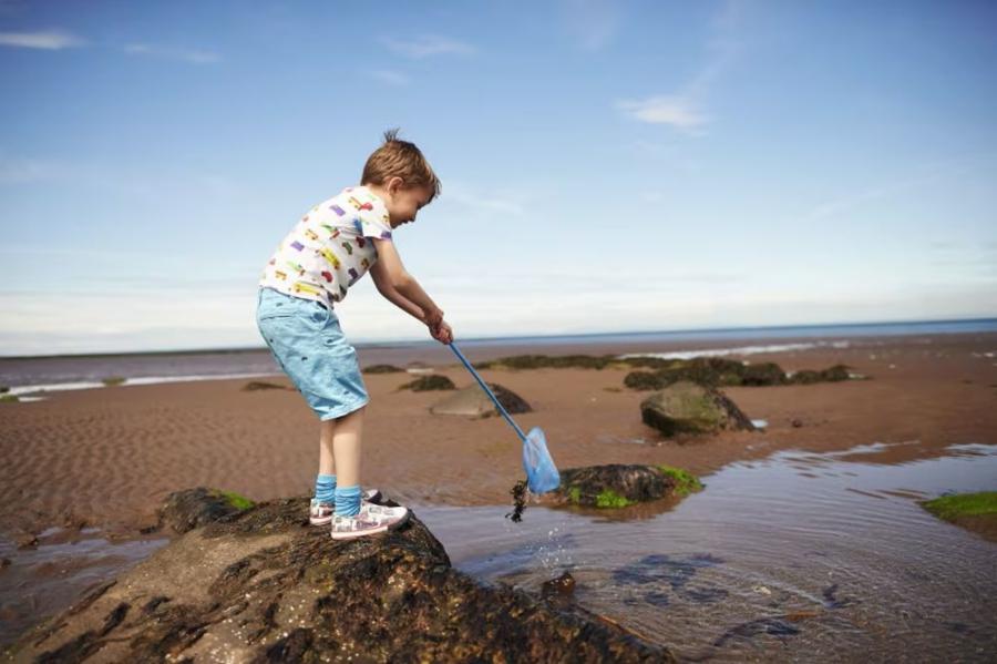 exploring the beach at Seton Sands