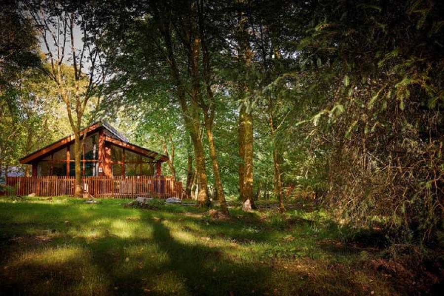 holiday lodges in wales in the woods at Beddgelert lodge park
