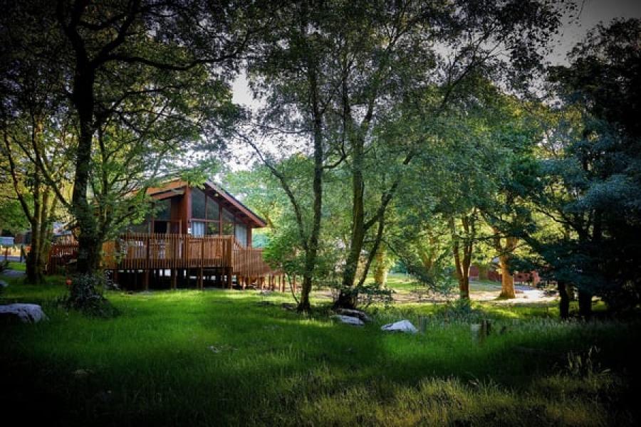 lodges on a Wales holiday lodge park