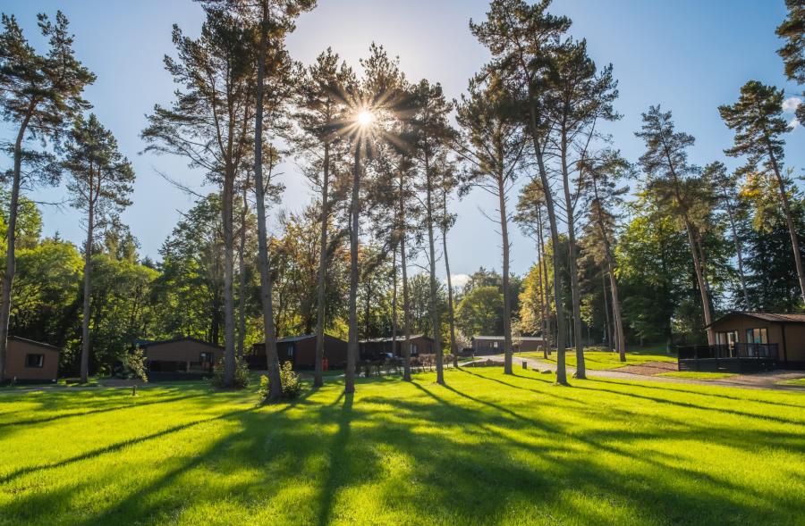 lodges in the woods in the lake district