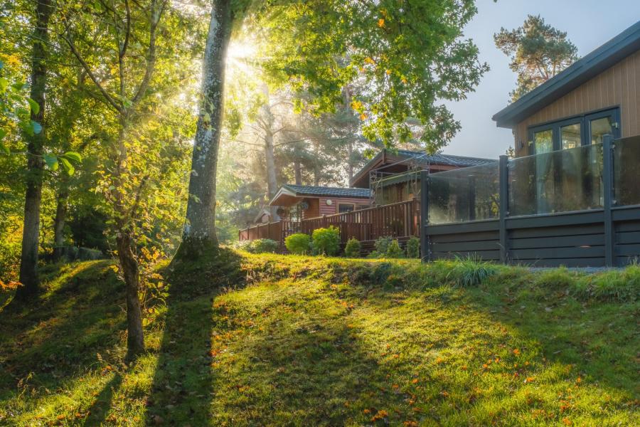lodges in the woods at Lowther Holiday Park 