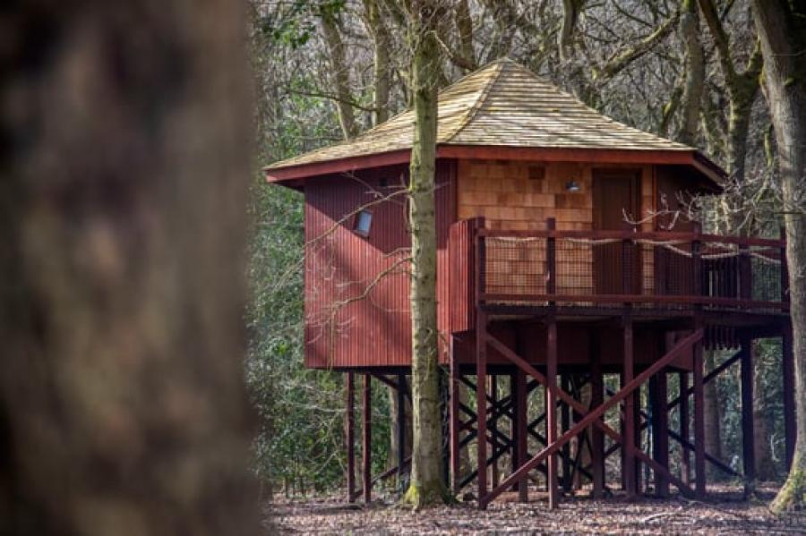 tree house cabins at Strathyre lodge park