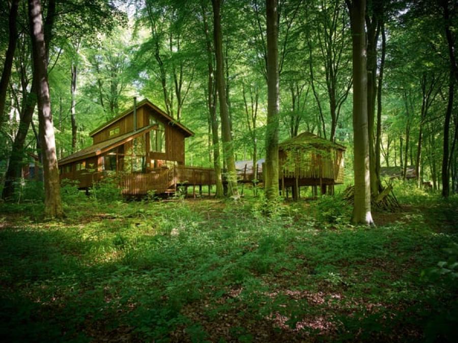 lodges in the woods in Hampshire at Blackwood Forest