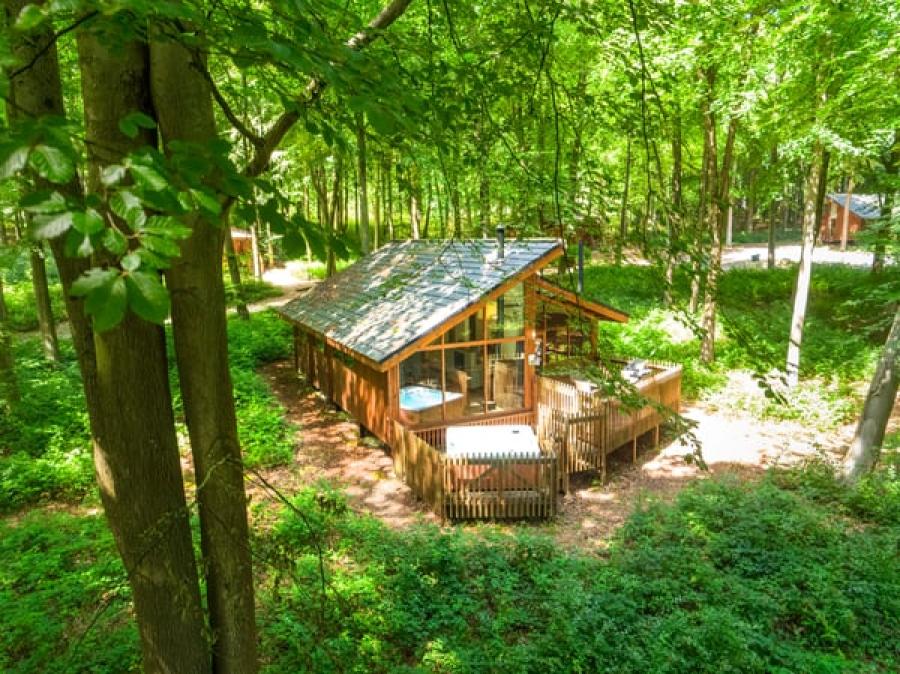 luxury lodges at Blackwood Forest in Hampshire