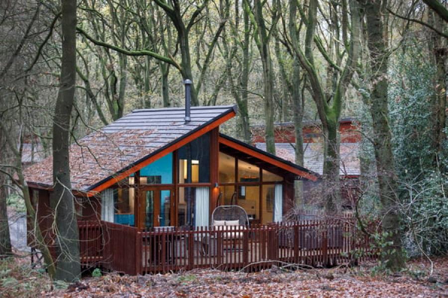 Blackwood Forest holiday lodges near Winchester