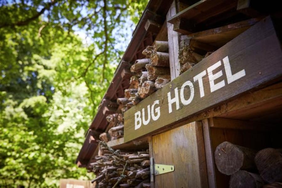 bug hotel at Cropton Lodge Park