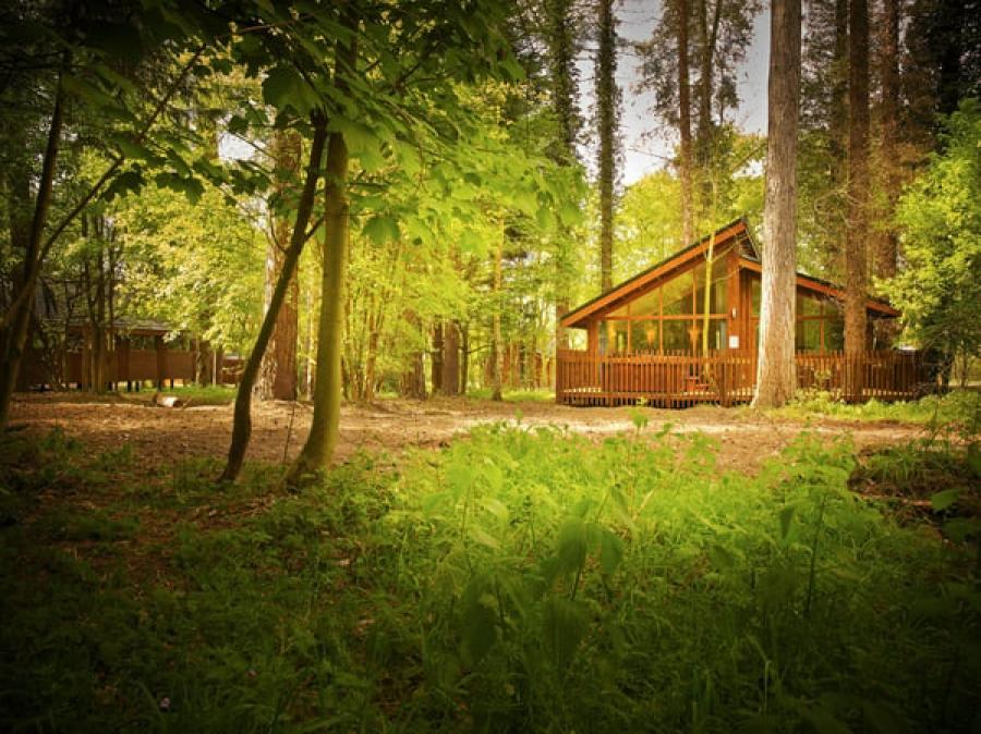 luxury lodges in norfolk at Thorpe Forest