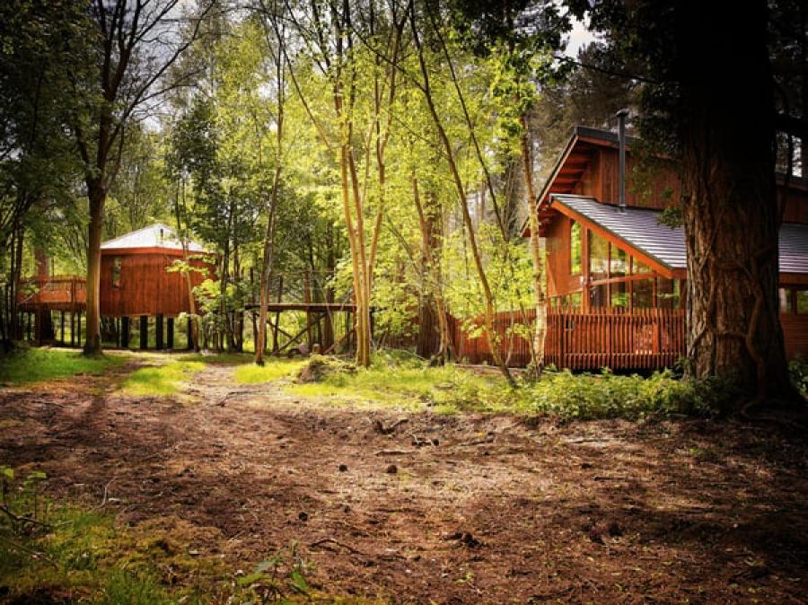 woodland log cabins at Thorpe Forest in Norfolk