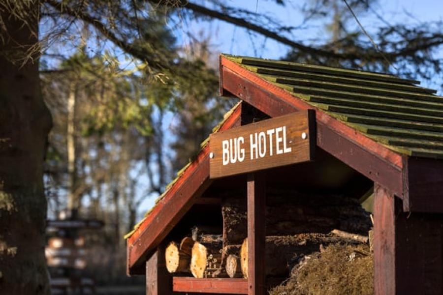 the bug hotel at Delamere Forest Lodges