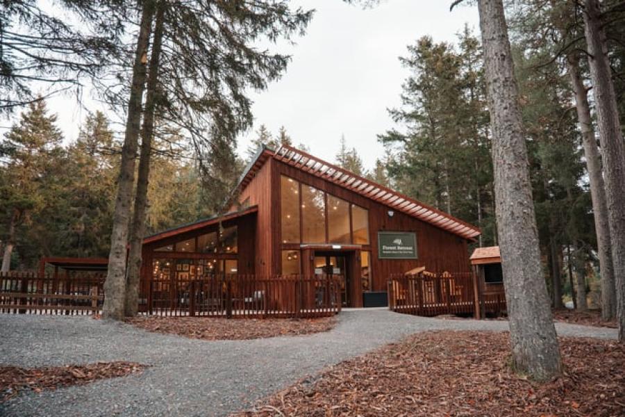 lodges in the woods in the Scottish Borders