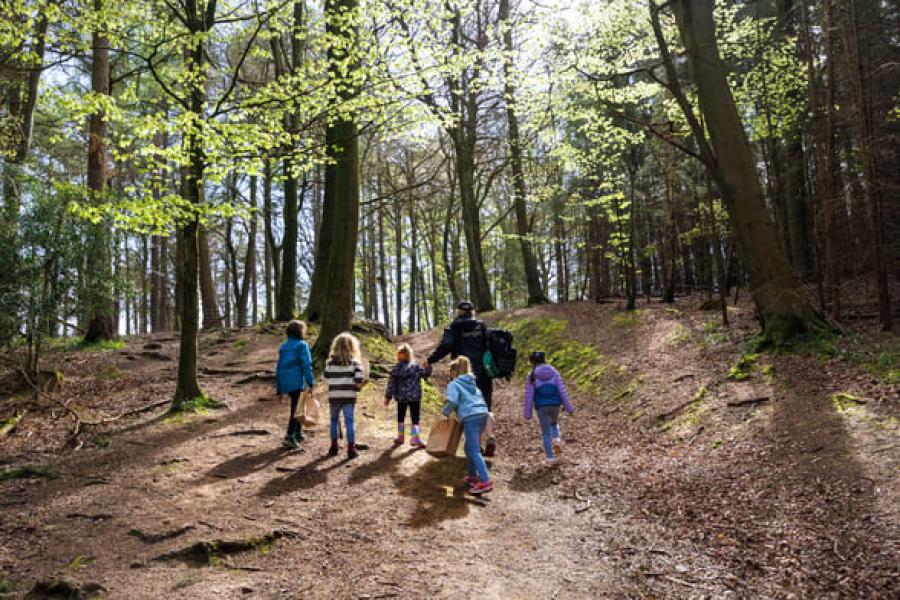 walking int he nature trails around Forest Holiday’s Sherwood Forest
