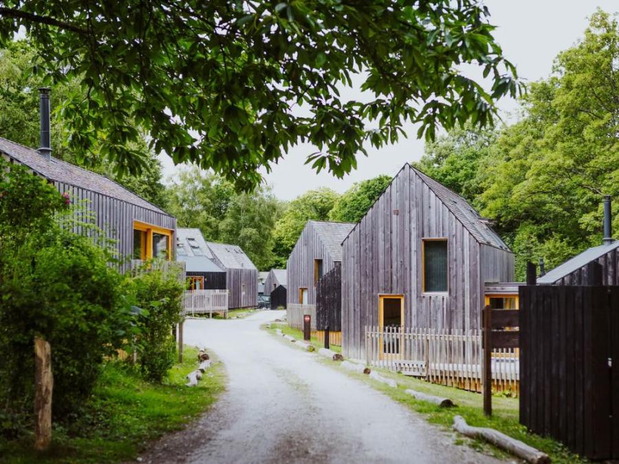rown of holiday lodges at Burnbake Forest Lodges in Dorset