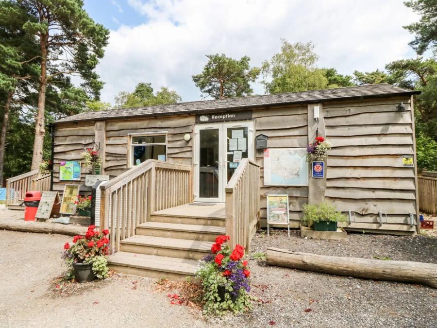 the reception at Burnbake Forest Lodges near Studland