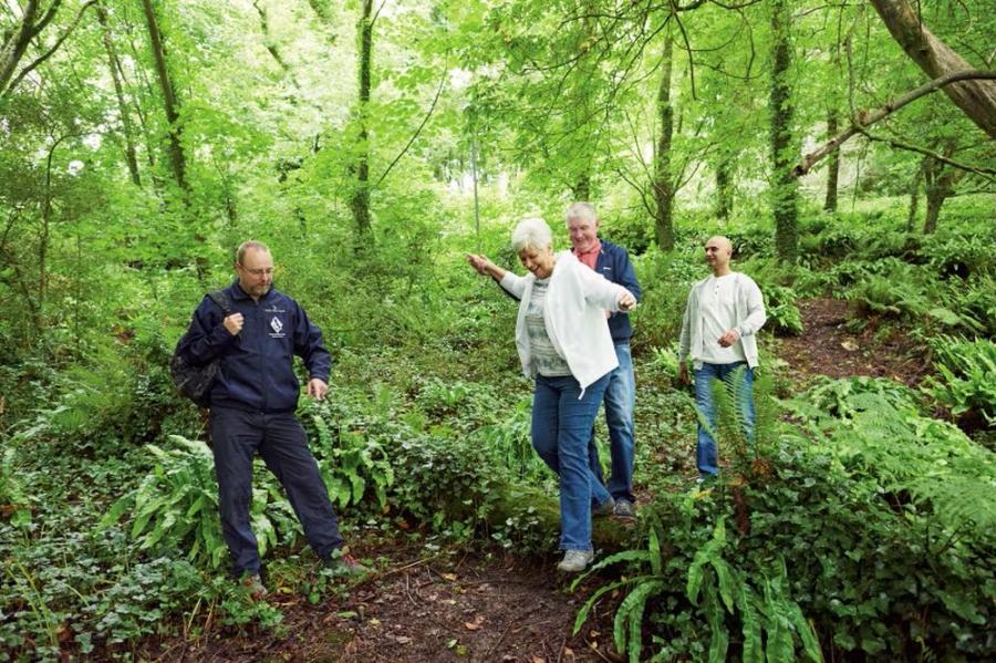 walking in the woods around the holiday park at Lydstep Beach Holiday Park