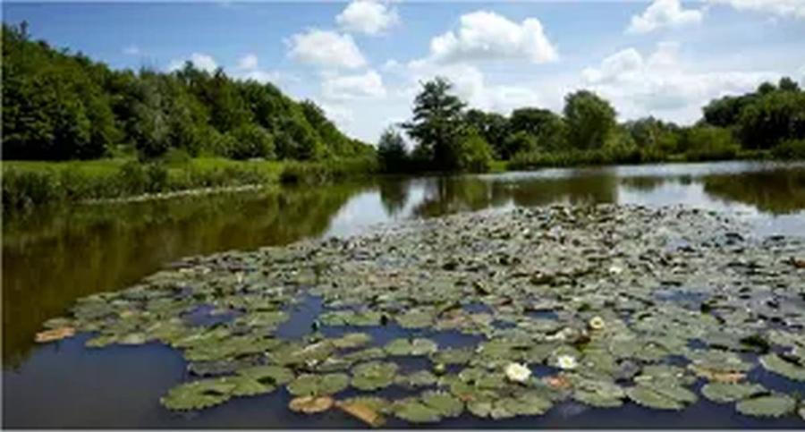 anothe coarse fishing lake for fishing olidays at Malvern View Holiday Park