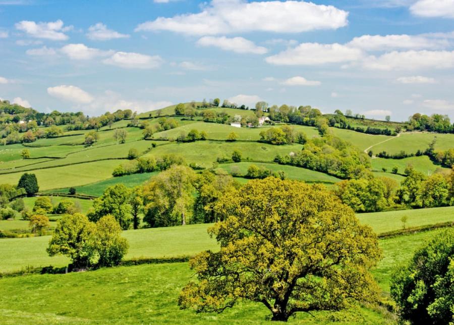 view of the east devon countryside from Andrewshayes Holiday Park