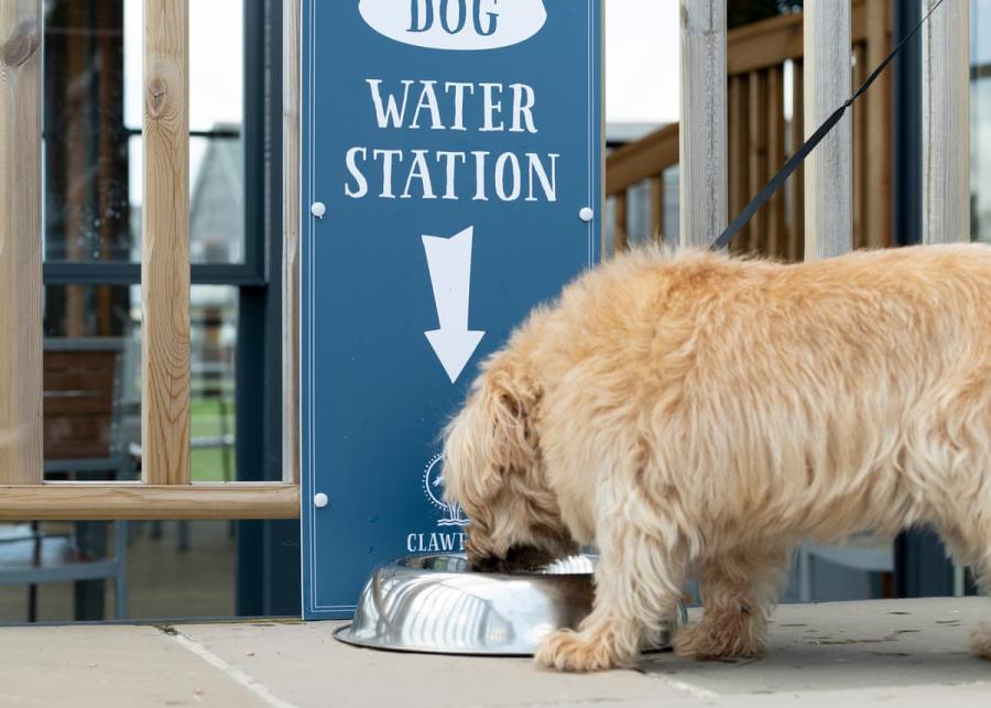 Clawford Lakes Resort and Spa dog friendly holiday park in Devon