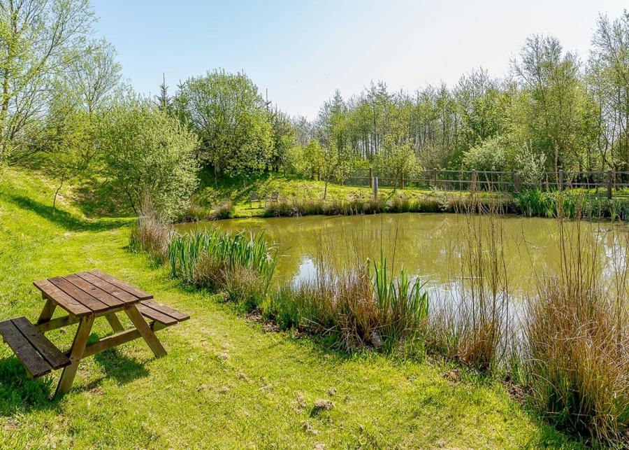the fishing pond at Dartmoor View Holiday Park