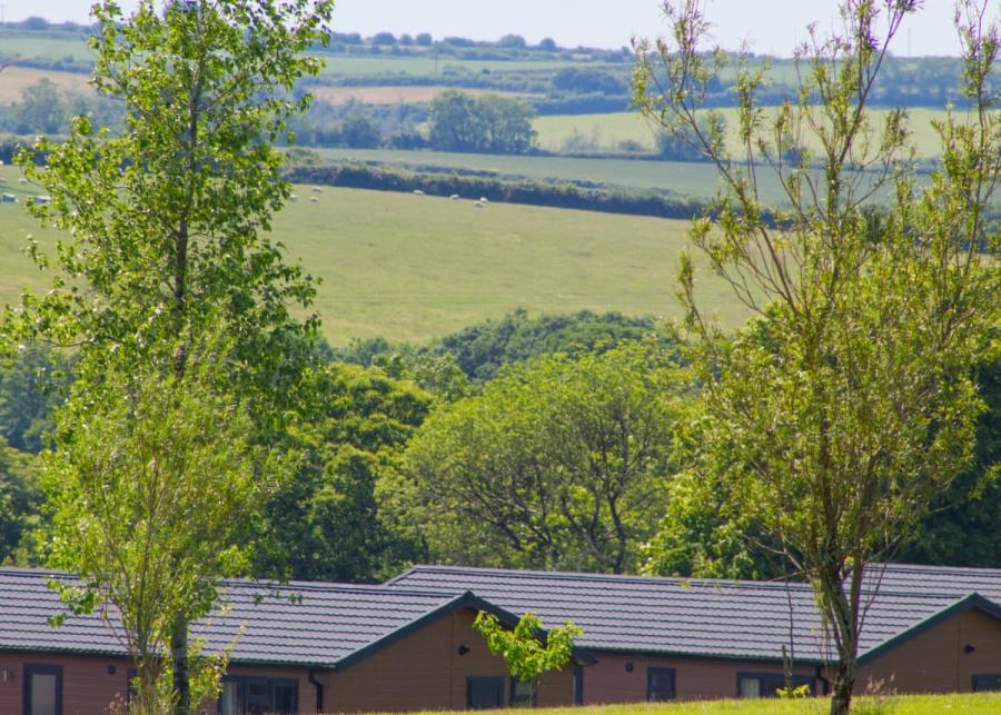 lodges in a coutryside setting at doublebois cornwall