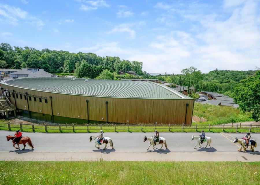 horse riding at Finlake Resort & Spa