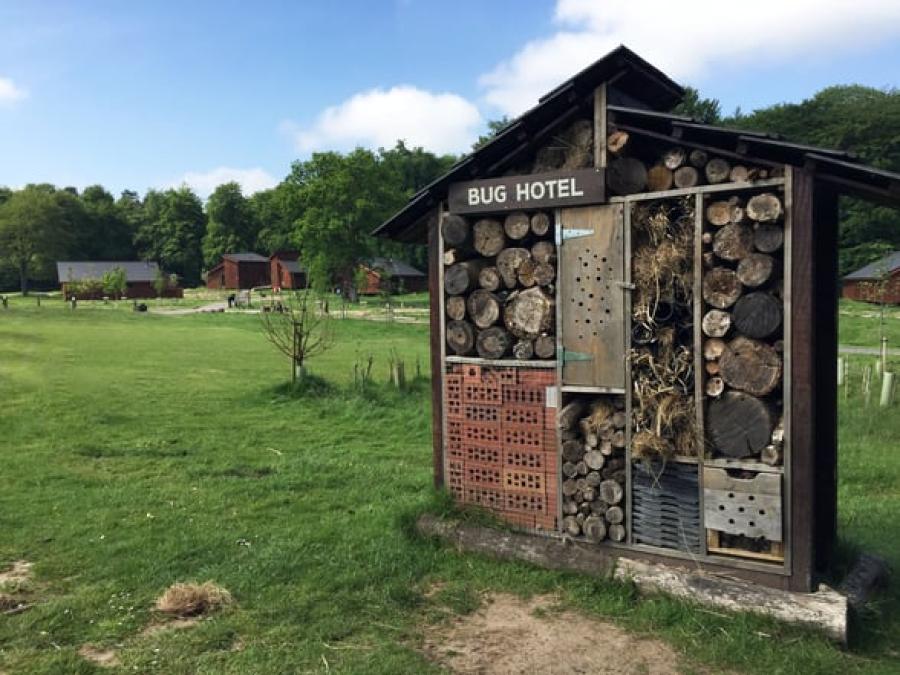 the bug hotel at Forest of Dean lodge park