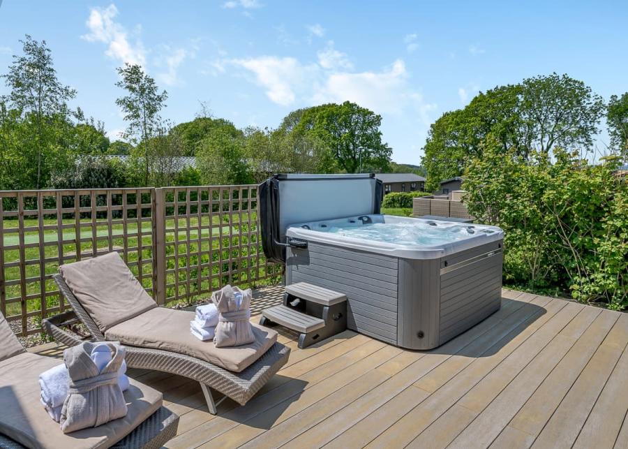 luxury lodges with hot tubs in devon at Hawkchurch Resort and Spa