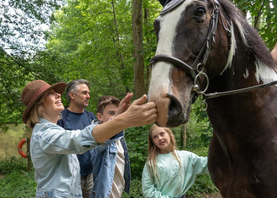 enjoying the horses on holiday