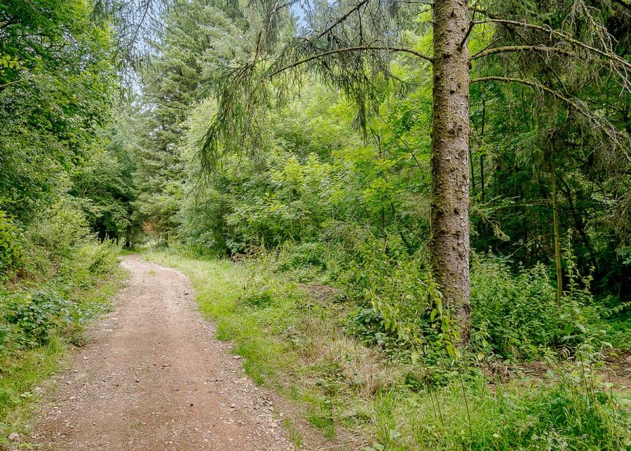 countryside walks at Hornbeam Country Park