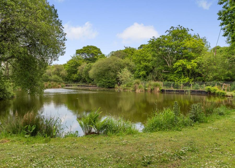 coarse fishing lake meadow lakes holiday park cornwall