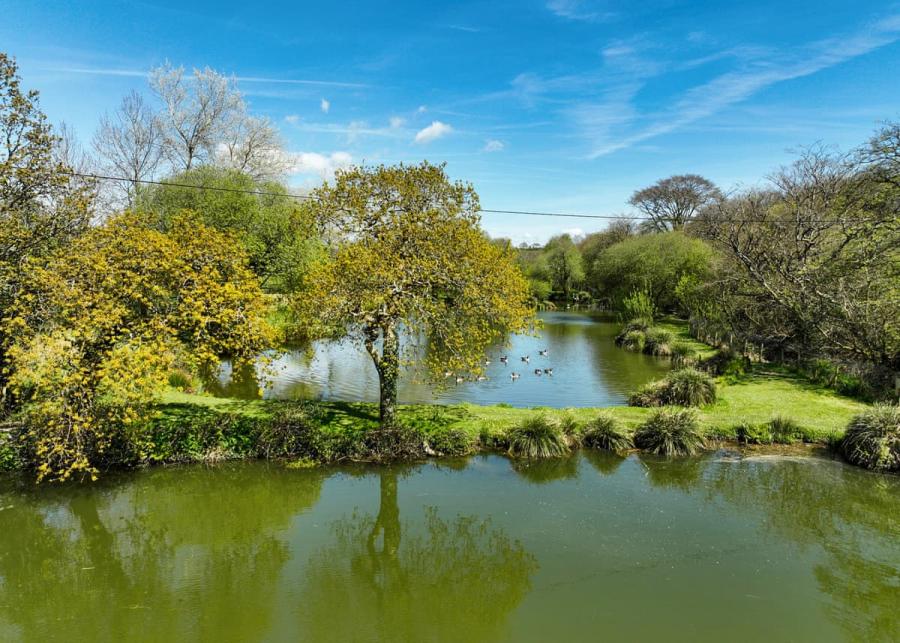 fishing lake at meadow lakes holiday park near st austell