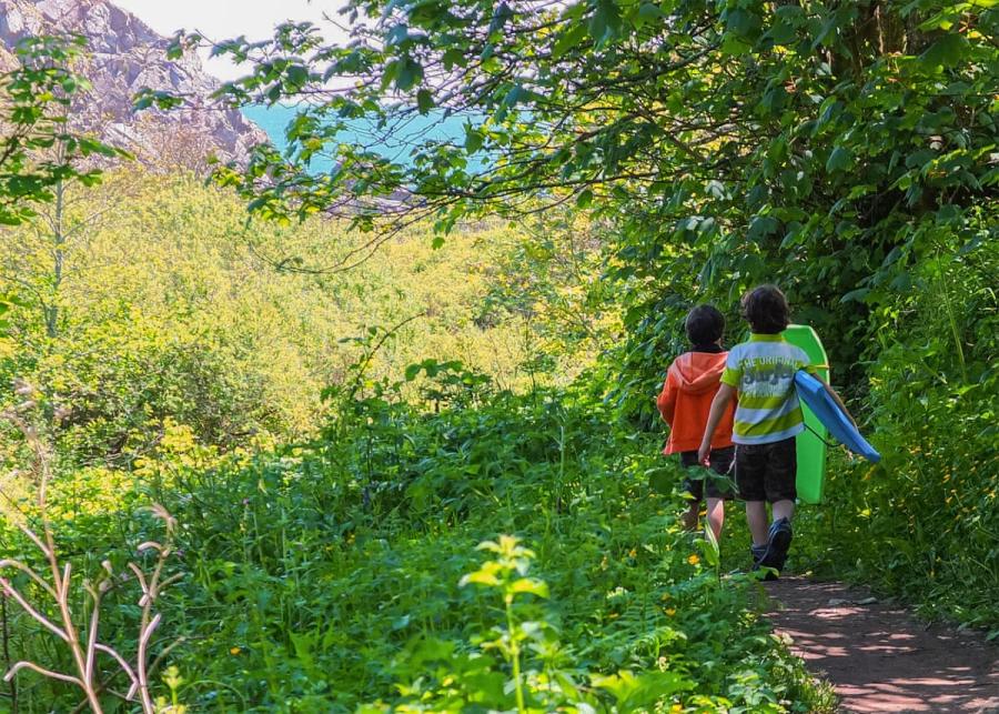 woodland walk at silver sands holiday park 