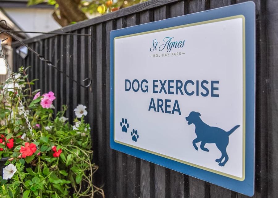 dog friendly caravan breaks at st agnes holiday park 