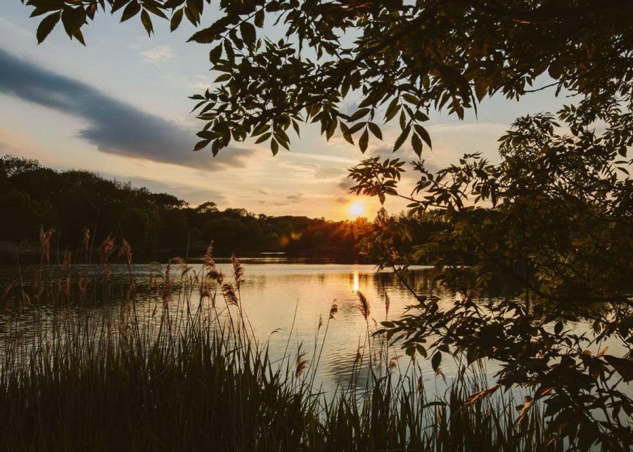 swanborough lakes luxury lodges with fishing lakes near lewes