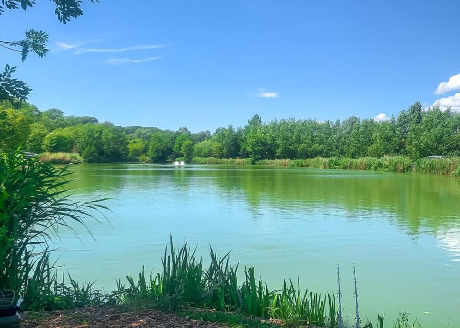 fishing at swanborough lakes luxury lodges in east sussex