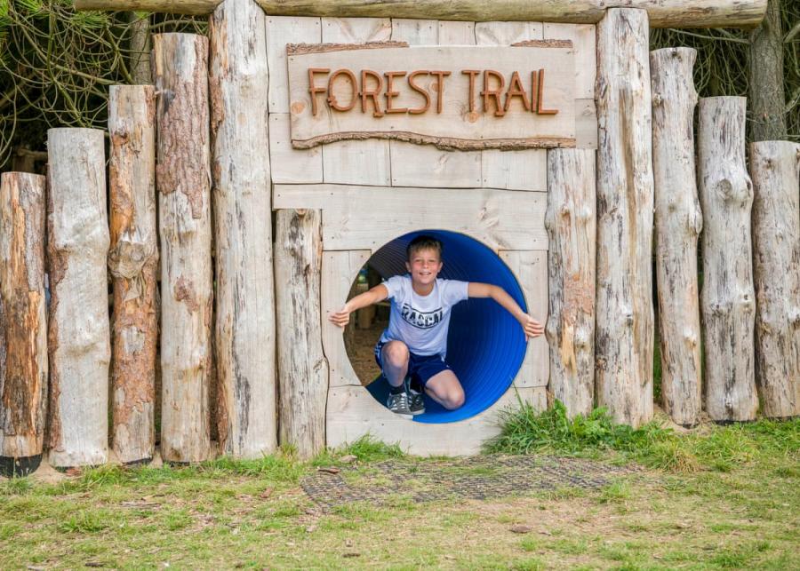 forest trail near newquay