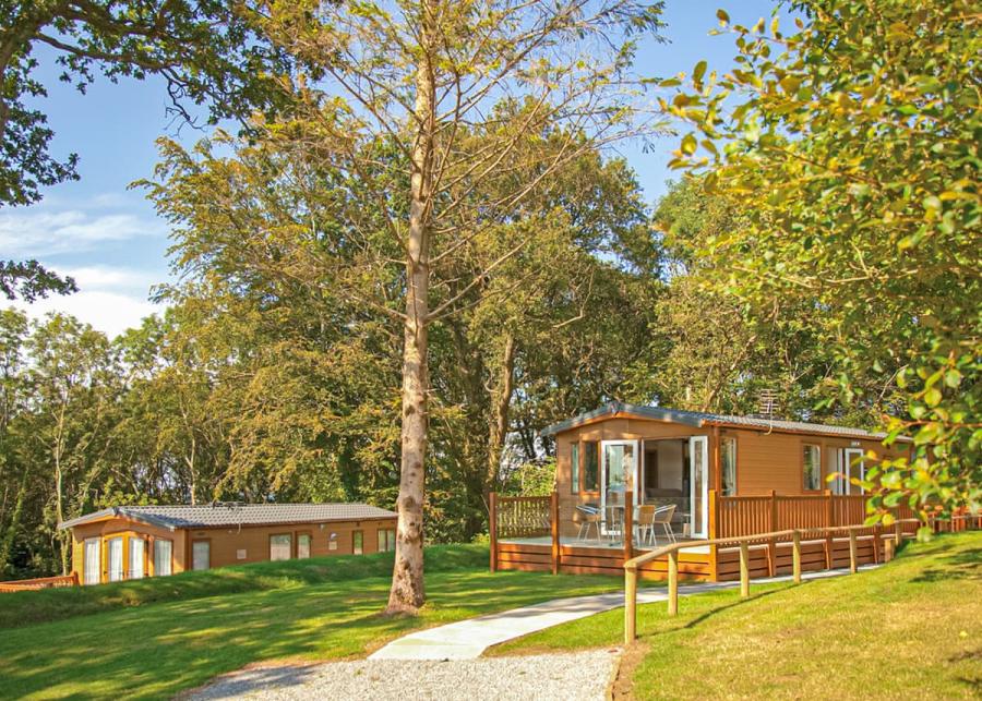 lodges in the woodland at Woodbury Woods in Devon