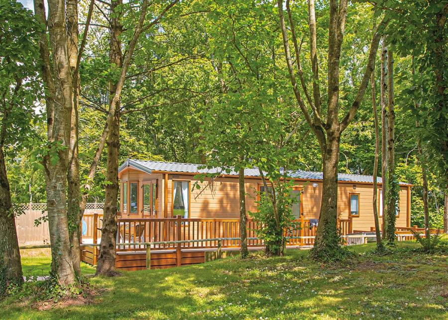 luxury lodges at Woodbury Woods near Exeter in Devon