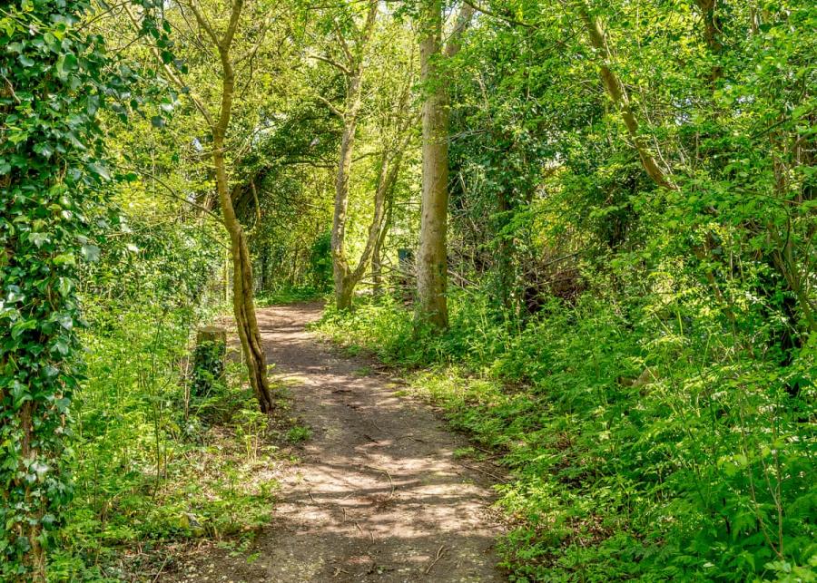 woodland walks at canterbury reach lodge retreat 