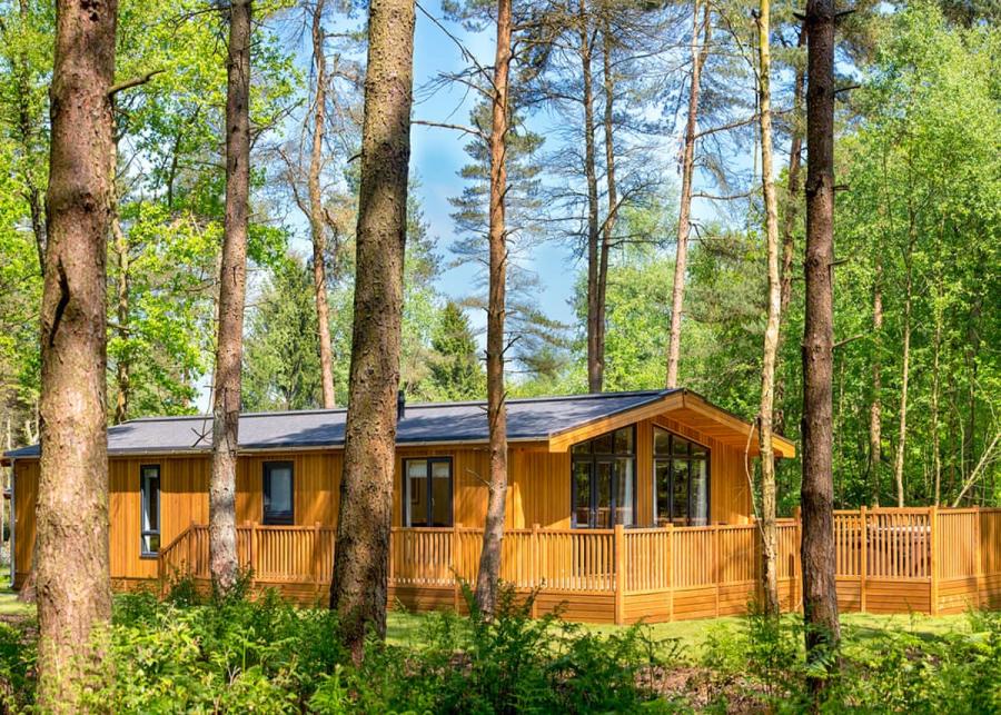 luxury lodge breaks at darwins forest lodge park 