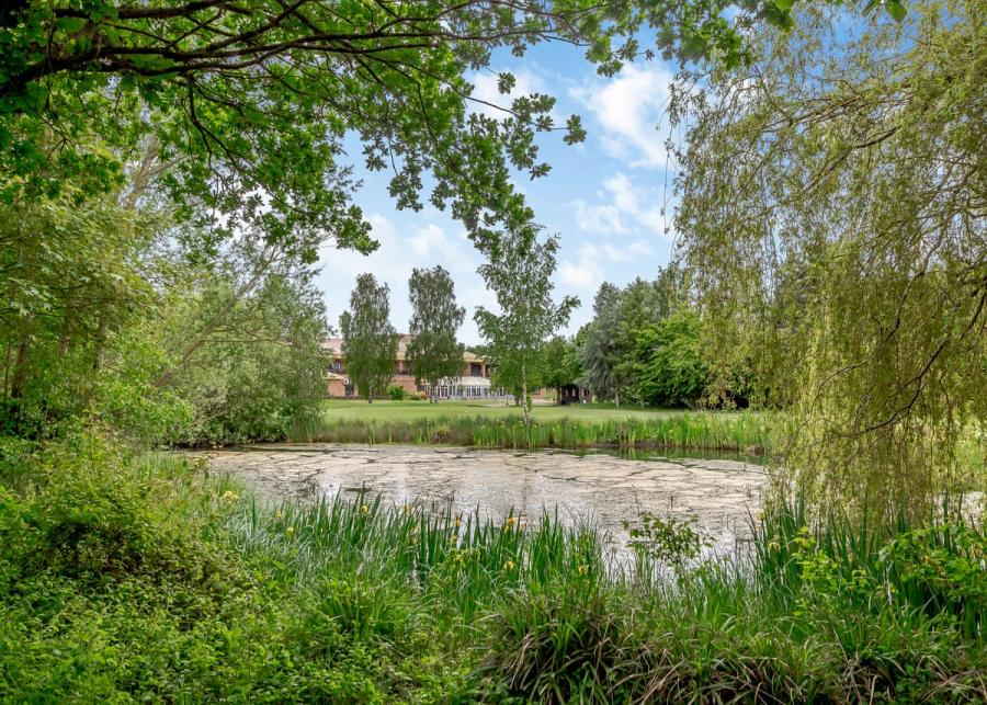 lake at The Essex Country Club